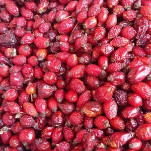 Natural Dried Rosehip | Sugar-Free Dried Fruit | Organic Sun-Dried Rosehip | Healthy Vegan Snack | Additive-Free Gluten-Free Natural Treat