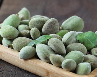 Fresh Green Almonds 1KG | Fresh Raw Almond | Unripe Almond | Vegan fruit | Seasonal Taste | Mandorle Verdi