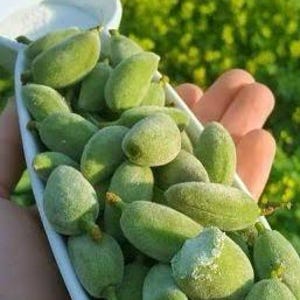 Frische grüne Mandeln | Frische rohe Mandel | Unausgereifte Mandel | Veganes Obst | Saisonaler Geschmack | Bio Snacks | Gesunde Vorspeisen | Mandorle Verdi