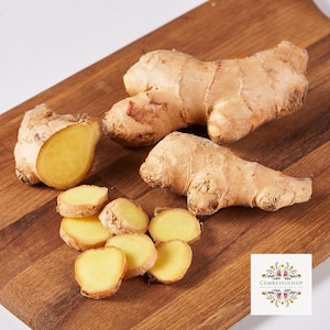 Fresh organic ginger | Ginger roots | Multiple benefits | Organic and natural ginger | Gluten free | Healty food | Ginger powder