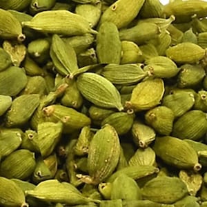 Organic Fresh Raw Cardamom Plant | Chewable Cardamom | Bad Breath Plant | Flavoring for Tea and Coffee | Herbal Spice | Natural Spice