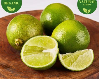 Biologische keylimes: verse tuincitrusvruchten