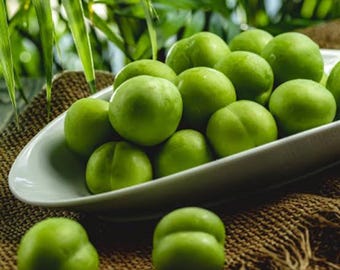 Ciruela verde fresca / Ciruela verde / Ciruela orgánica / Ganerik / Janerik / Ciruela verde natural / Fruta de temporada