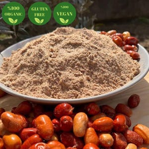 Organic oleaster seed powder | Dried oleaster fruit powder | Healthy spices | Natural spices