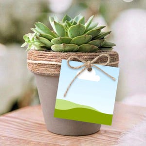 Puede incluir: Una pequeña planta suculenta en una maceta gris, adornada con cuerda y una etiqueta decorativa. La etiqueta presenta un diseño de cielo azul con una nube blanca y colinas verdes. Las hojas verdes de la planta contrastan con el color neutro de la maceta.