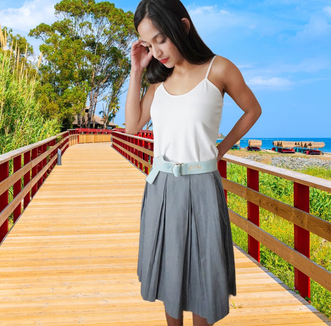 Blue Panel Pleated Skirt, Fit and Flare, Light Denium Color