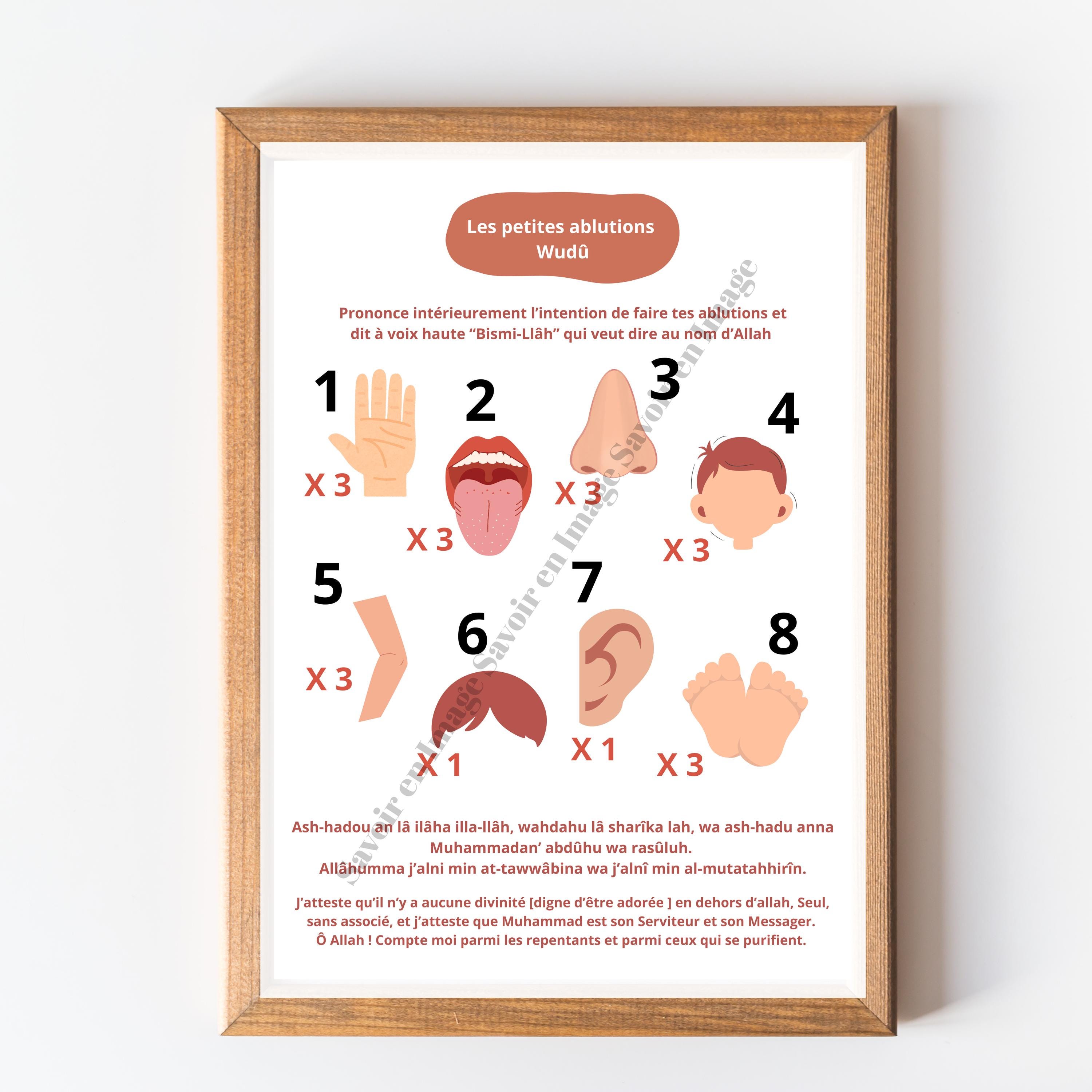Wudhû Poster - Illustrated Guide to Minor Ablutions (Downloadable PDF)
