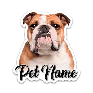 Peut inclure: Autocollant représentant un bouledogue avec des marques marron, blanches et roses. Le texte "Pet Name" est écrit en noir sur l'autocollant.