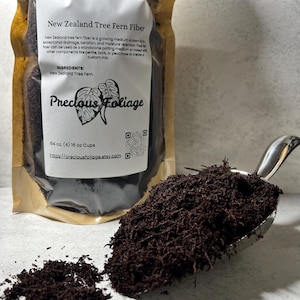 New Zealand Tree Fern Fiber  64oz-(4) 16oz Cups