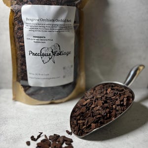 May include: A clear bag of Besgrow Orchiata Orchid Bark with a label that reads "Precious Foliage." A metal scoop is filled with the bark, and some bark pieces are scattered on the surface. The bag contains 64 oz (16 cups) of orchid bark.