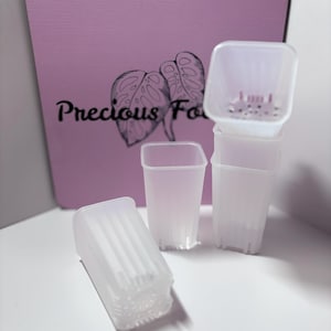 May include: A set of four translucent, square-shaped plastic plant pots with drainage holes at the base. The pots are arranged in a cluster, with one lying horizontally and three standing vertically. A pink square sign with the text Precious Fo is visible.