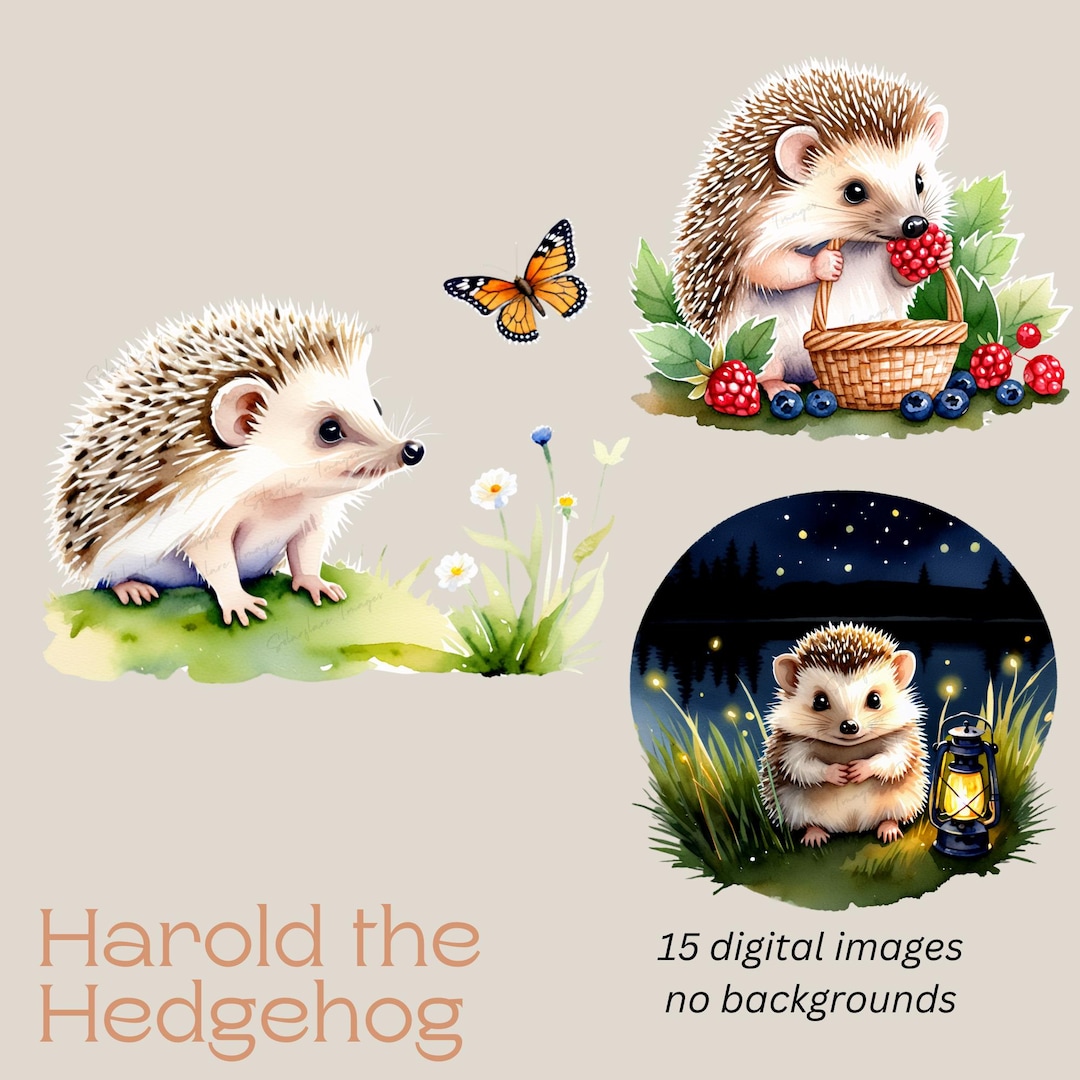 15 Hedgehogs Clipart - High-quality Pngs, Hedgehog Clipart, Cute Animal ...