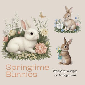 20 春のうさぎのクリップアート - 高品質の PNG、パステルカラーのうさぎのクリップアート、愛らしいうさぎ、花とうさぎ、かわいいイラスト