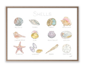 Shells Life Story Art Print Watercolor