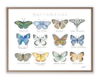 Butterflies Life Story Art Print Watercolor Butterfly