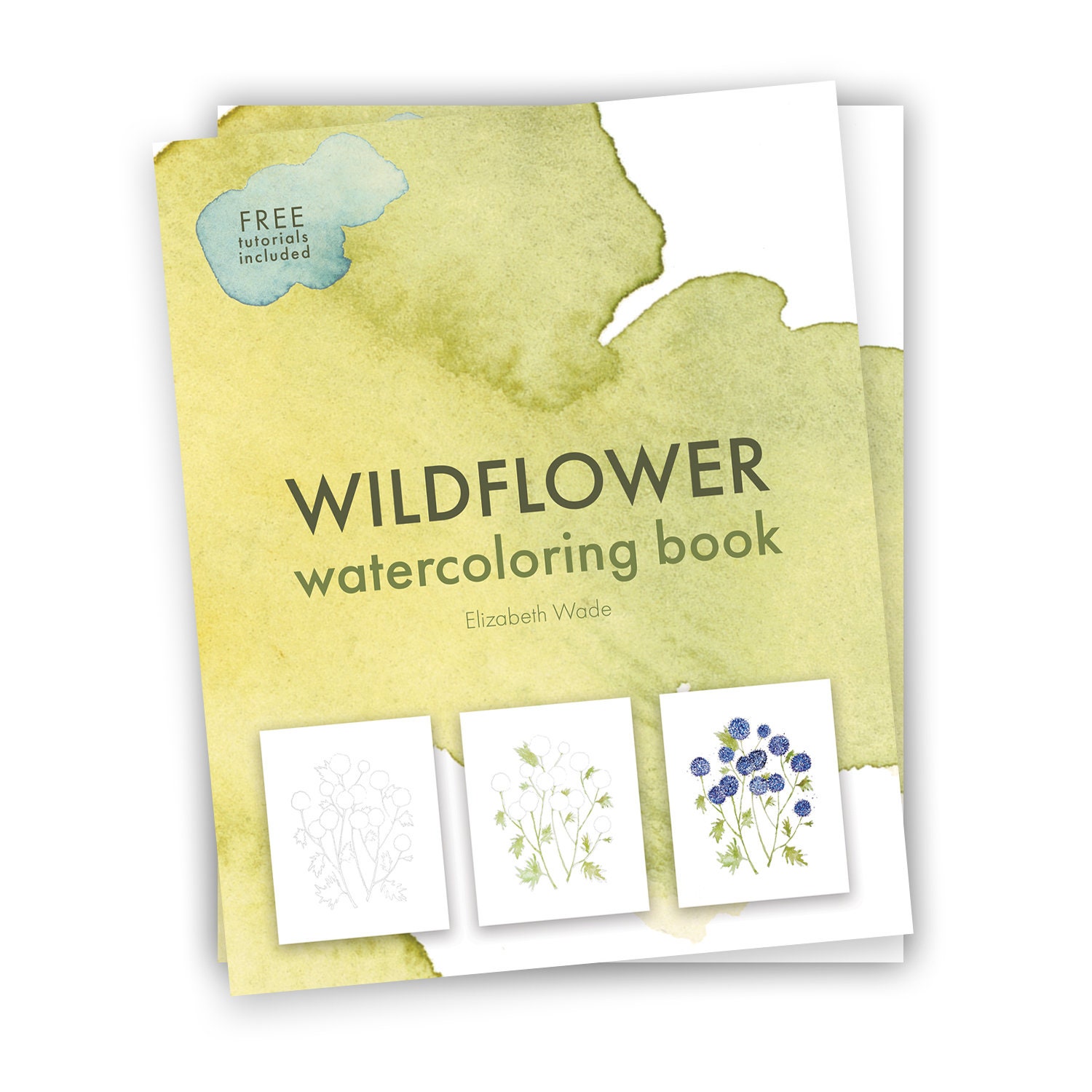 Watercolor Workbook: Café in Bloom: 25 Beginner-Friendly Projects on  Premium Watercolor Paper (Watercolor Workbook Series) (Paperback)