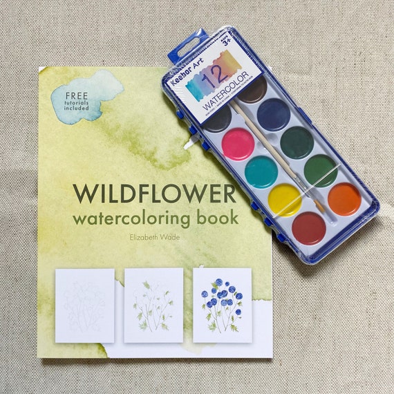 A Review of Simplified Classes By Emily Lex Watercolor and Art Classes