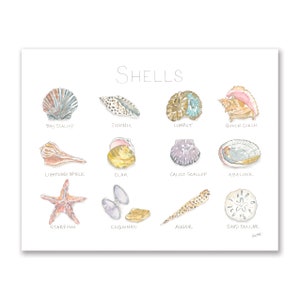 Shells Watercolor Instant Download Beach Art Nautical Coastal