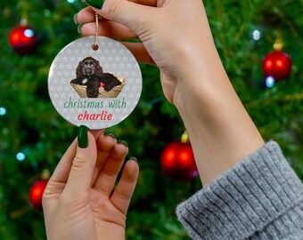 Personalized pet Ornament - Ornament for any pet, Christmas Decoration, Pet Memorial, Personalized Gift, Holiday Keepsake, Pet Lovers Gift