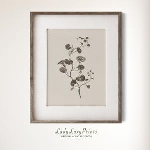 Vintage Flower Art Print, Botanical French Country Wall Decor, Cottage Art Print, Botanical Art Print, Farmhouse Wall Decor #94
