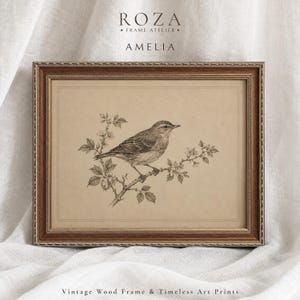 Vintage Bird Botanical Sketch Print, Wood Framed Cottagecore Office Art
