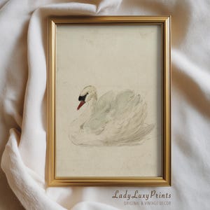 May include: A framed vintage print featuring a watercolor illustration of a swan. The swan has white feathers, a black beak, and a red accent. The print is in a gold frame and is labeled "Lady Luxy Prints, Original & Vintage Decor."