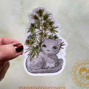 Puede incluir: Una pegatina con un gato gris de ojos verdes, junto a una planta de cannabis. La pegatina tiene un borde blanco y el texto "stasiaburrington.com" en rojo en la parte inferior. El fondo es verde claro y blanco.