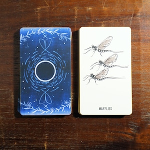 May include: A deck of oracle cards with a dark blue back featuring a white circle and floral design. The card on the right has a white background with illustrations of mayflies and the word "MAYFLIES" in black.