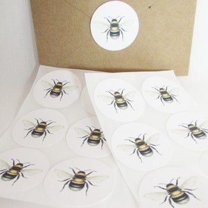 Bee Stickers, Bumble Bee Labels, Bee Scientific Illustration, Eco-Friendly Envelope Seals. Bee Gift Wrap, Package Stickers, Round Stickers image 1