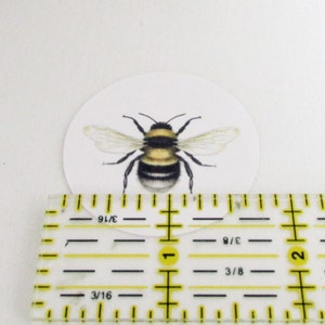 Bee Stickers, Bumble Bee Labels, Bee Scientific Illustration, Eco-Friendly Envelope Seals. Bee Gift Wrap, Package Stickers, Round Stickers image 4