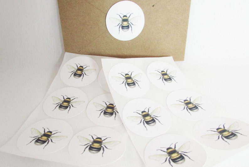 Bee Stickers, Bumble Bee Labels, Bee Scientific Illustration, Eco-Friendly Envelope Seals. Bee Gift Wrap, Package Stickers, Round Stickers image 1