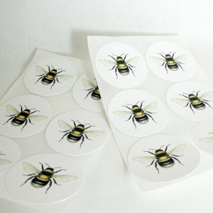 Bee Stickers, Bumble Bee Labels, Bee Scientific Illustration, Eco-Friendly Envelope Seals. Bee Gift Wrap, Package Stickers, Round Stickers image 2