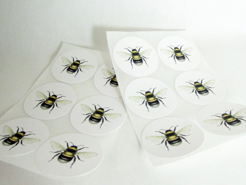 Bee Stickers, Bumble Bee Labels, Bee Scientific Illustration, Eco-Friendly Envelope Seals. Bee Gift Wrap, Package Stickers, Round Stickers image 2