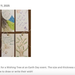 Wish Tree Tags, Eco Friendly Recycled Card Stock, Hemp Cording, Personalized Wish Cards image 4