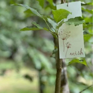 Wish Tree Tags, Eco Friendly Recycled Card Stock, Hemp Cording, Personalized Wish Cards image 2