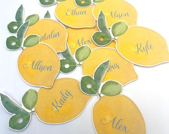 Custom Gift Tags, Personalized Name Tags, Party Favor Labels