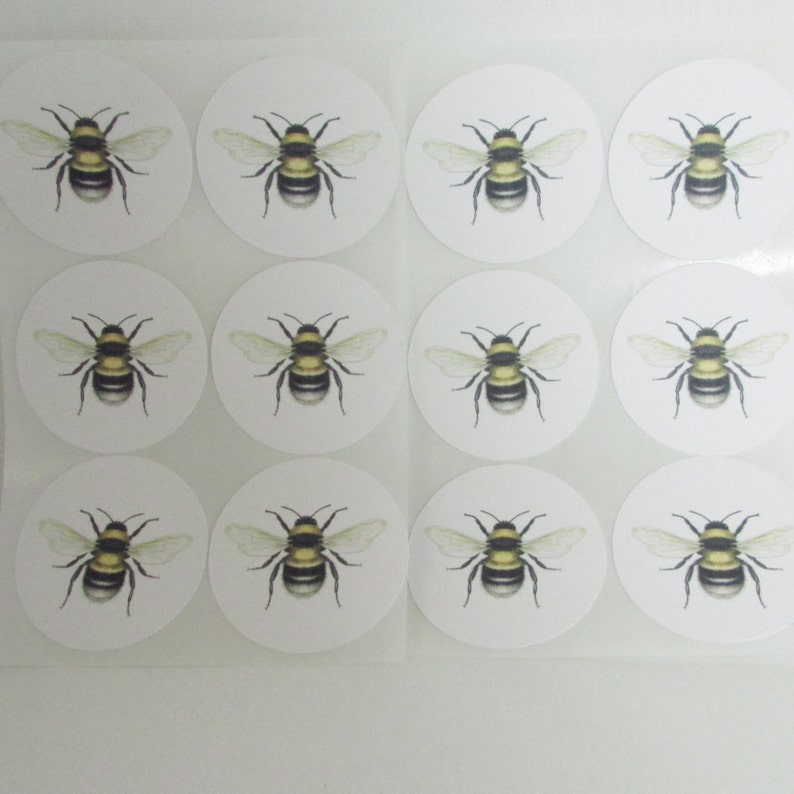 Bee Stickers, Bumble Bee Labels, Bee Scientific Illustration, Eco-Friendly Envelope Seals. Bee Gift Wrap, Package Stickers, Round Stickers image 5