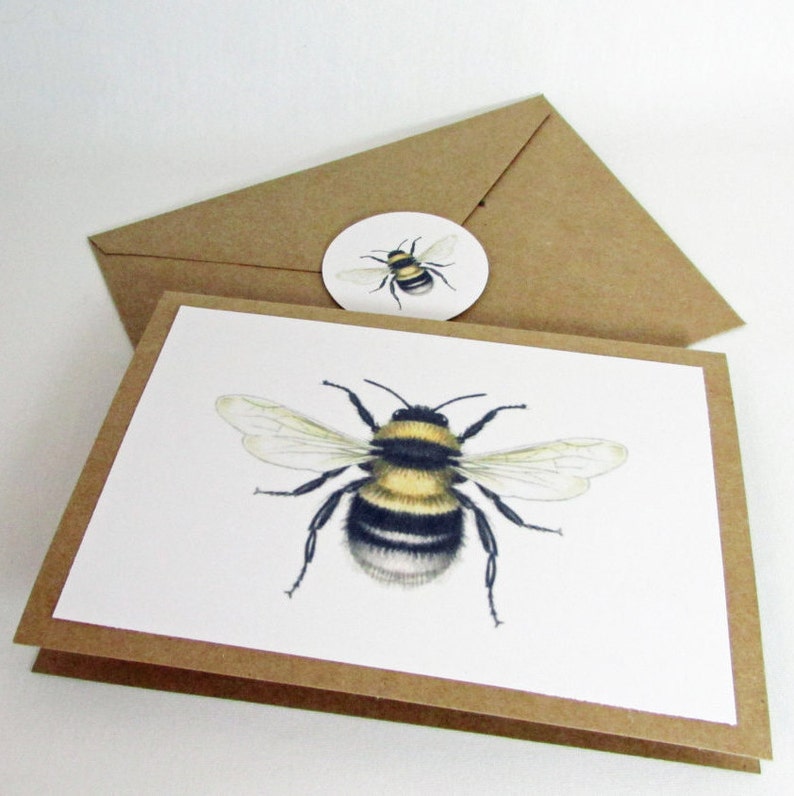 Bee Stickers, Bumble Bee Labels, Bee Scientific Illustration, Eco-Friendly Envelope Seals. Bee Gift Wrap, Package Stickers, Round Stickers image 3