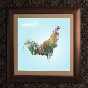 Gallo