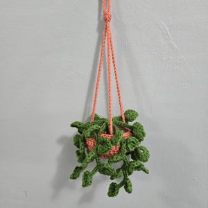 May include: A crocheted hanging planter with a terracotta-colored pot and green leaves. The planter is hanging from a hook on a white wall.