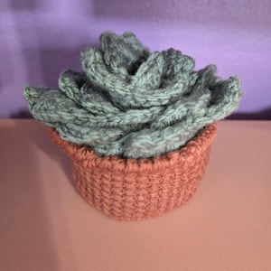 Crochet Succulent Coaster Set (4 coasters)
