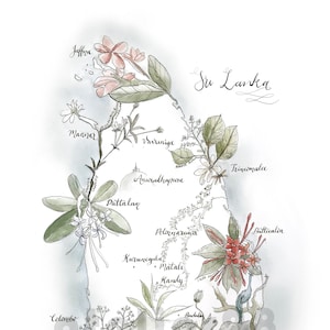 Giclee Kunstdruck (A4) von einer Landkarte von Sri Lanka mit illustrierter Pflanzen- und Pflanzenwelt