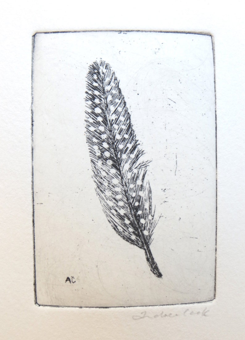 original etching of a spotted feather image 4