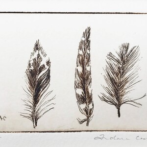 Puede incluir: Una impresión en blanco y negro de tres plumas. La impresión está firmada "John Cook" y numerada "145".