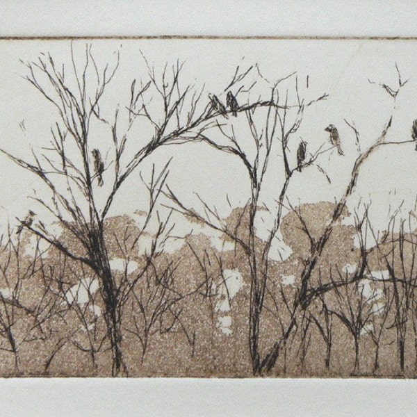 original etching and aquatint of woodland trees with birds