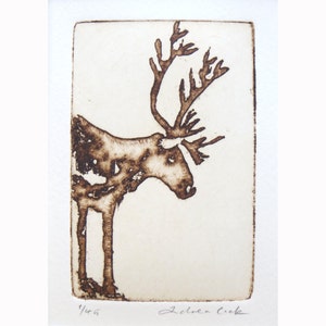 reindeer - original etching and aquatint