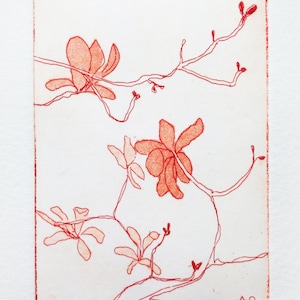 May include: A red and white floral print. The artwork features a delicate etching of magnolia flowers and branches. The print is signed and numbered 1/45. The artist's name, Andrew Cook, is printed at the bottom.