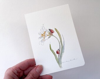 original ink and watercolor sketch of ladybugs / ladybirds exploring a flower