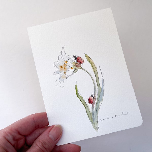 original ink and watercolor sketch of ladybugs / ladybirds exploring a flower