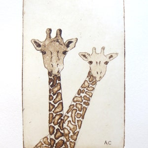 two giraffes - original etching and aquatint.